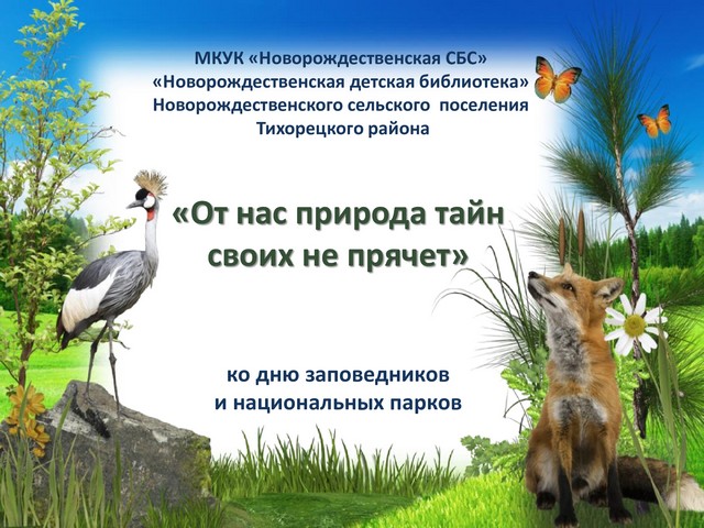 3b9b35caa6d553852373b303e54afcd9 0