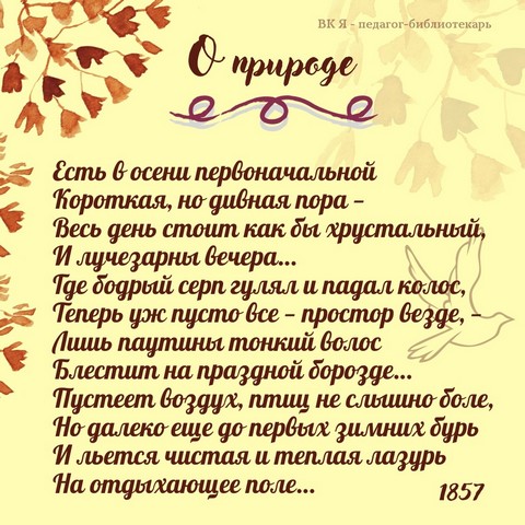  ZDxBOWyB5I