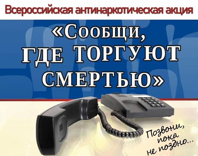 akciya2024 1