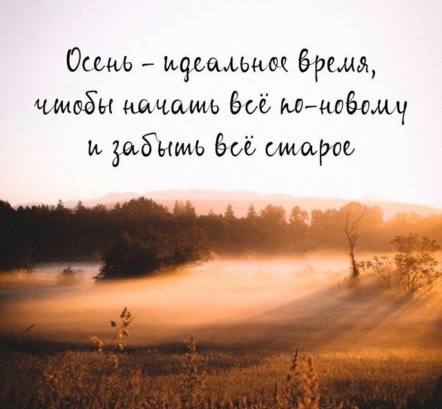 flyDkLqYfds