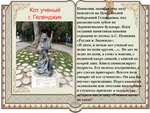 4a8340281295bcbba1b89c4cde4170ba 800x