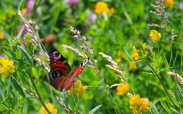 photo 2305 02